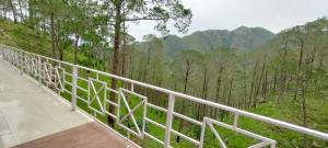 the green pine cottage