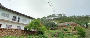 the green pine cottage
