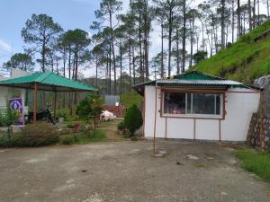 the green pine cottage