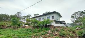 the green pine cottage