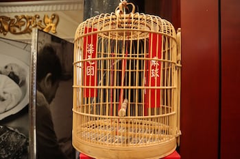 anting villa hotel shanghai