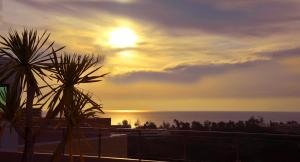 princess seaview resort and spa