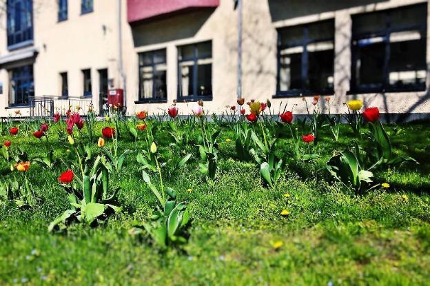 flemings hotel munchen schwabing