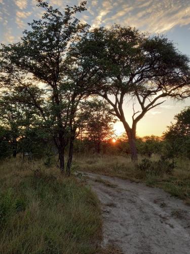 mankwe camping