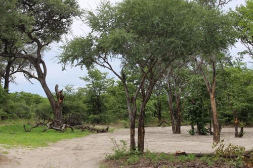 mankwe camping