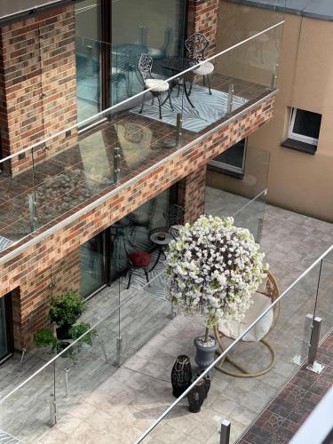 all seasons palanga apartaments