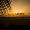 antonio beach tree house hotel and spa