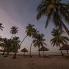 antonio beach tree house hotel and spa