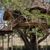 antonio beach tree house hotel and spa