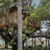 antonio beach tree house hotel and spa