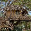 antonio beach tree house hotel and spa