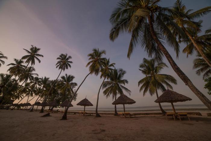antonio beach tree house hotel and spa