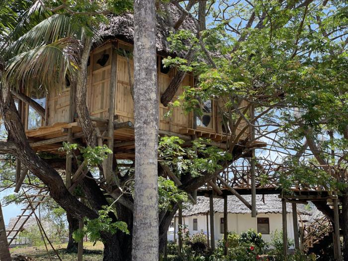 antonio beach tree house hotel and spa