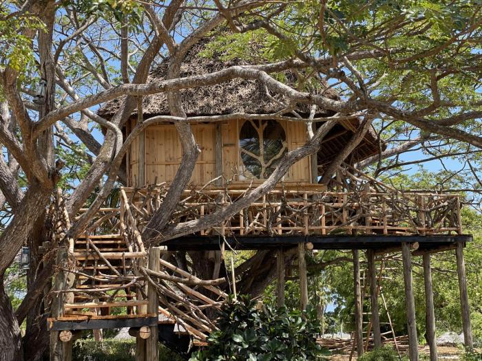 antonio beach tree house hotel and spa