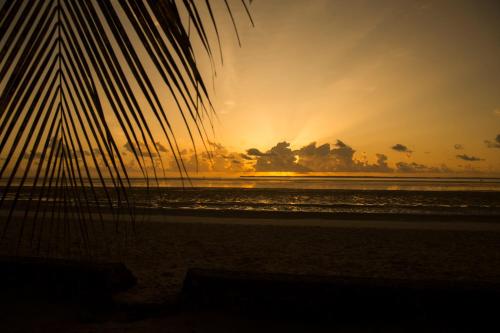 antonio beach tree house hotel and spa