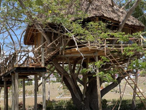 antonio beach tree house hotel and spa