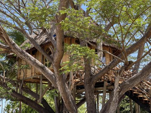 antonio beach tree house hotel and spa