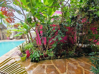 nungwi roses