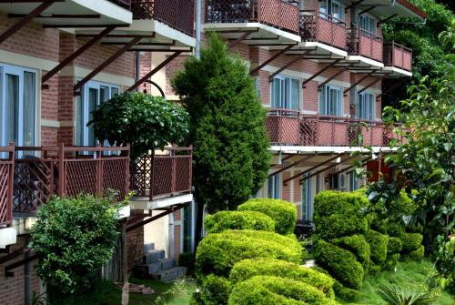 himalaya drishya resort