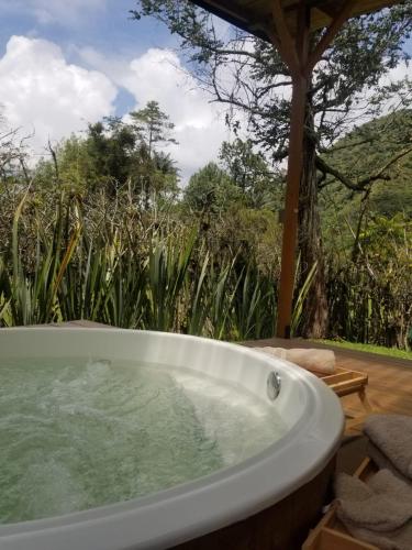 exclusivo cocora con jacuzzi salento quindio
