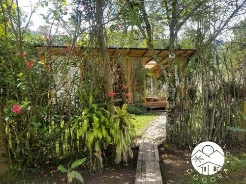exclusivo cocora con jacuzzi salento quindio