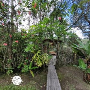 exclusivo cocora con jacuzzi salento quindio