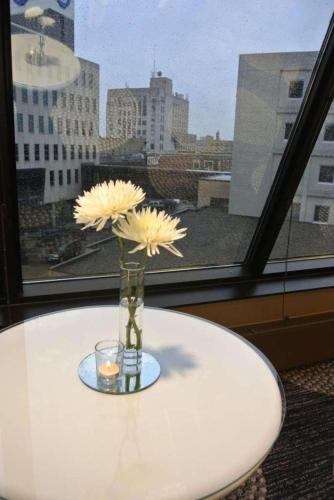 radisson blu fargo