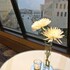 radisson blu fargo