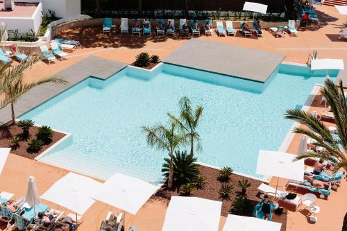 aluasoul ibiza adults only