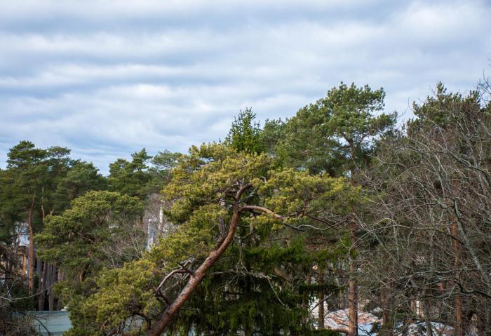 hotel jurmala spa and conference center