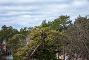 hotel jurmala spa and conference center