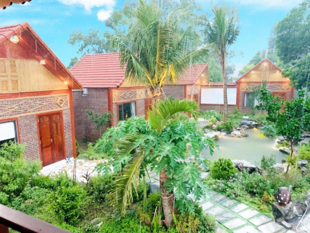 trang an lighthouse homestay