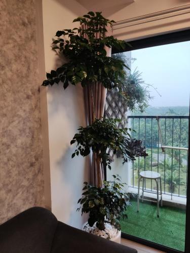 h2 homestay ecopark van giang hung yen