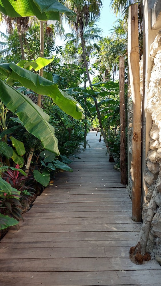uman glamping and cenote tulum