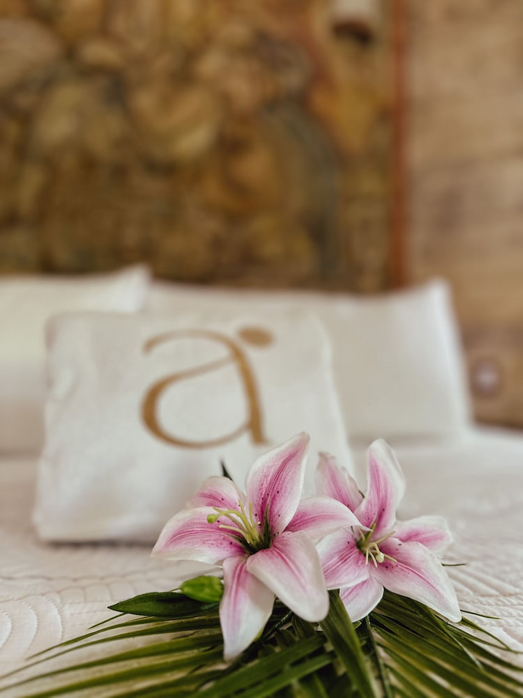 hotel boutique aurea