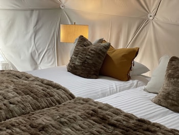 tocoro mt fuji campandglamping