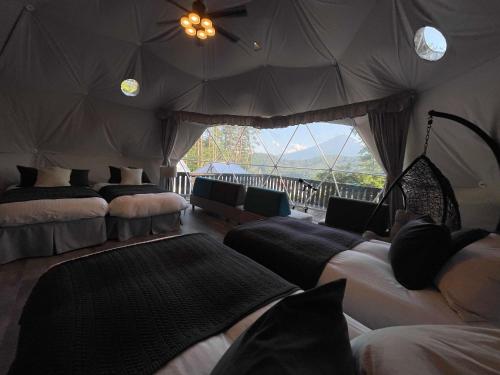 tocoro mt fuji campandglamping
