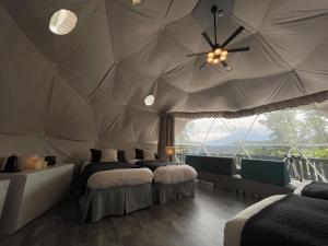 tocoro mt fuji campandglamping