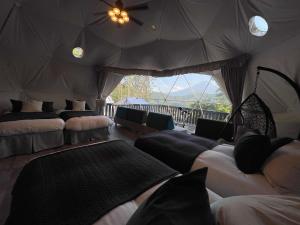 tocoro mt fuji campandglamping