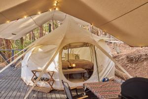 tocoro mt fuji campandglamping