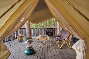 tocoro mt fuji campandglamping
