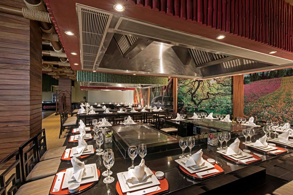 iberostar selection playa mita all inclusive