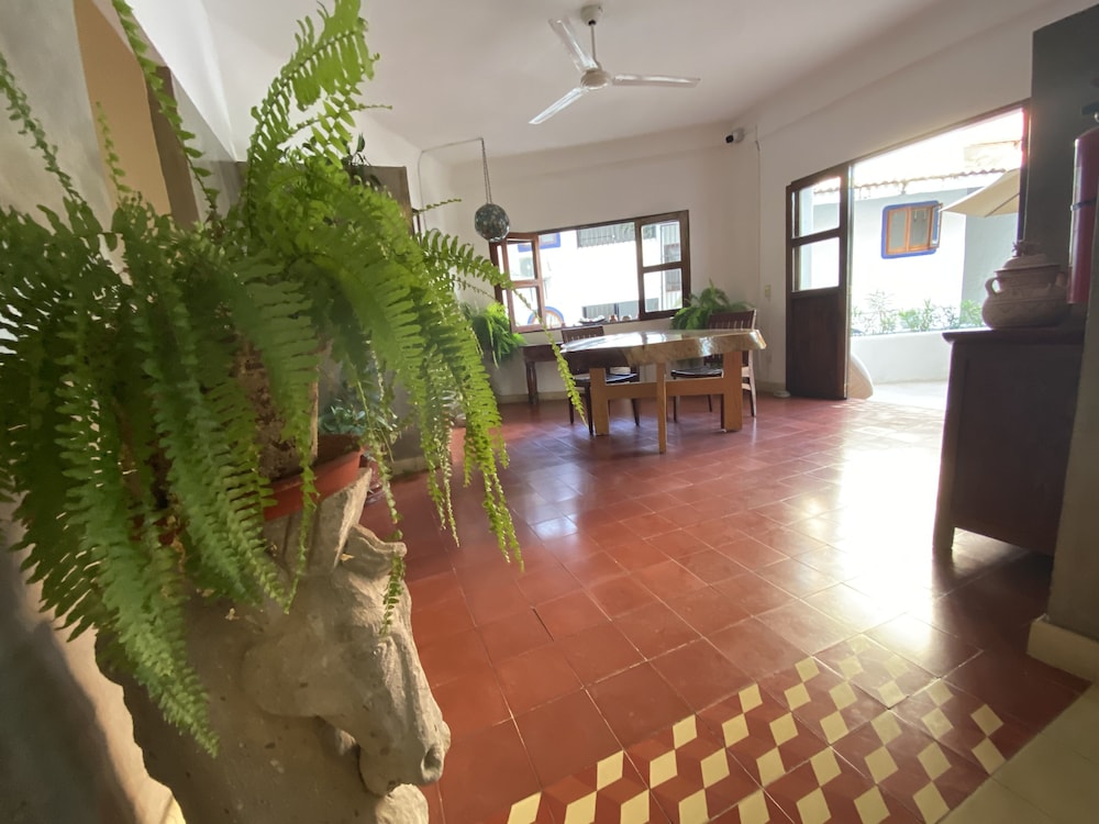 hotel amaca puerto vallarta adults only