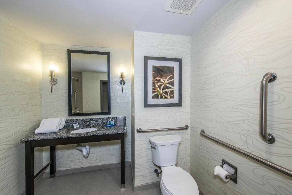 holiday inn express and suites charleston arpt con