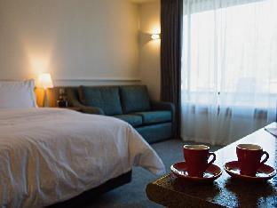 Swiss-Belresort And Villas Coronet Peak,Otago>>Arthur's Point,3 star