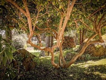 santoro country house