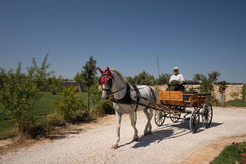 conversano