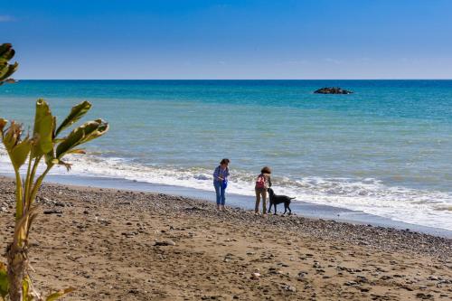 seafront calabeach