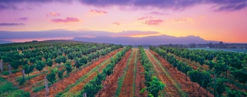 cumberland motor inn