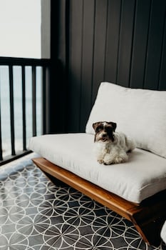 The Waves At Cane Bay,Frederiksted>>Christiansted,4 star